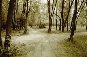 crossroads green trees